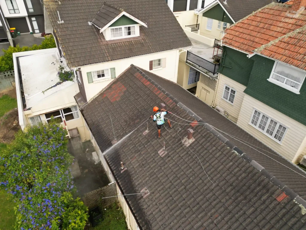 Gutter cleaning
