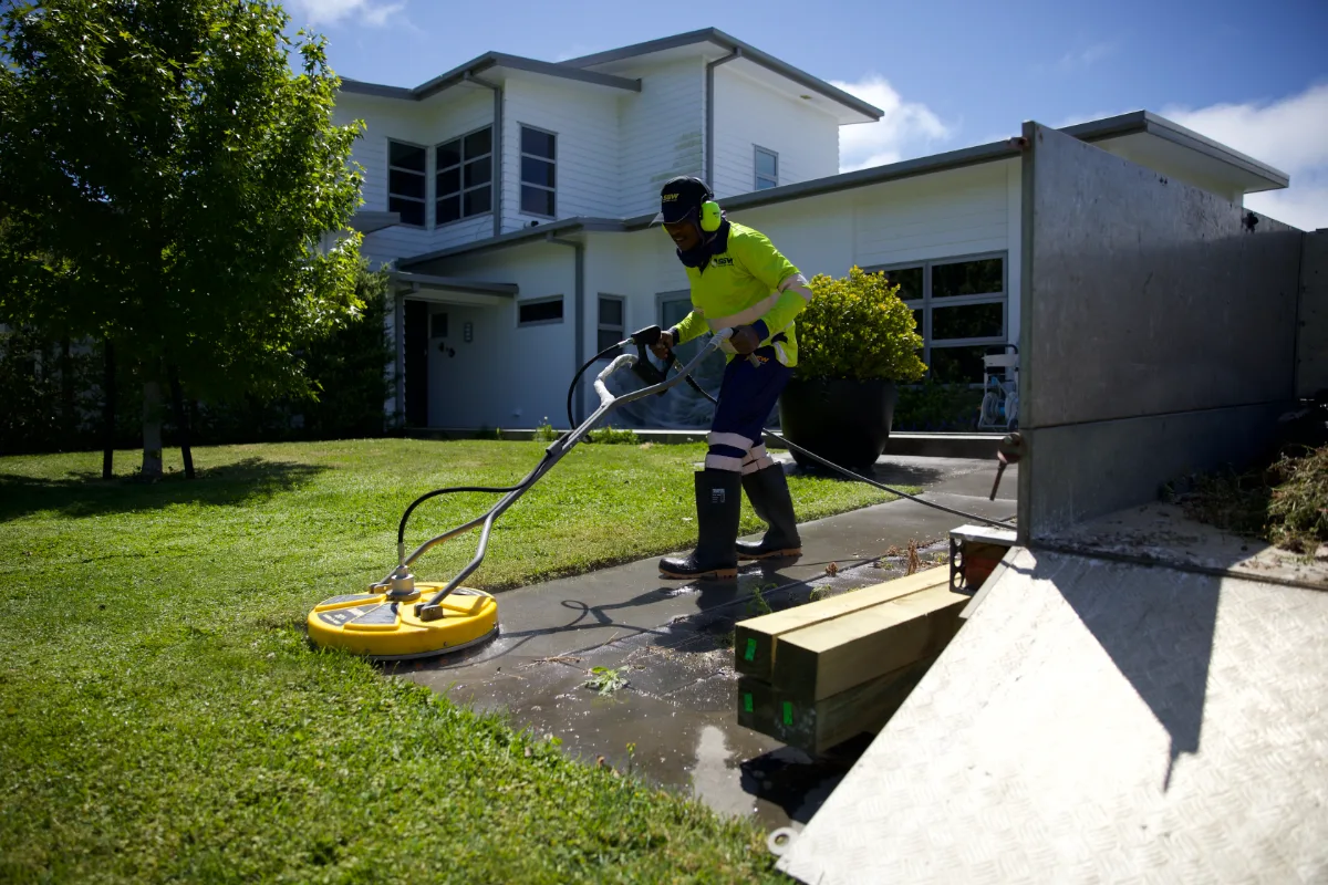 Why Auckland Homes Get Green Algae and How to Remove It